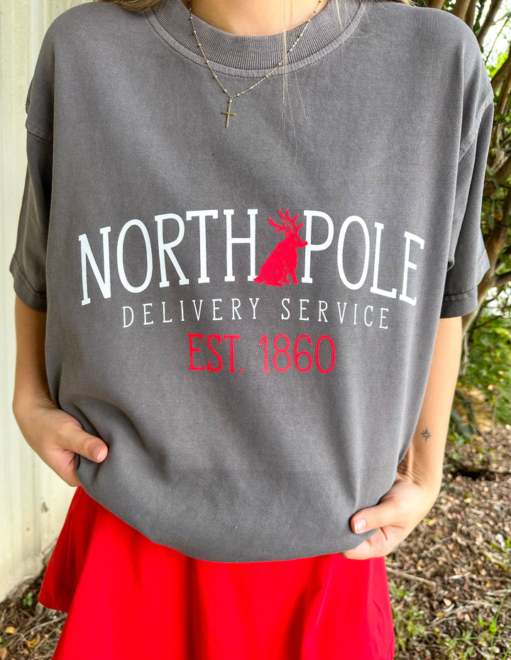 North Pole Delivery Service Mock Neck Tee
