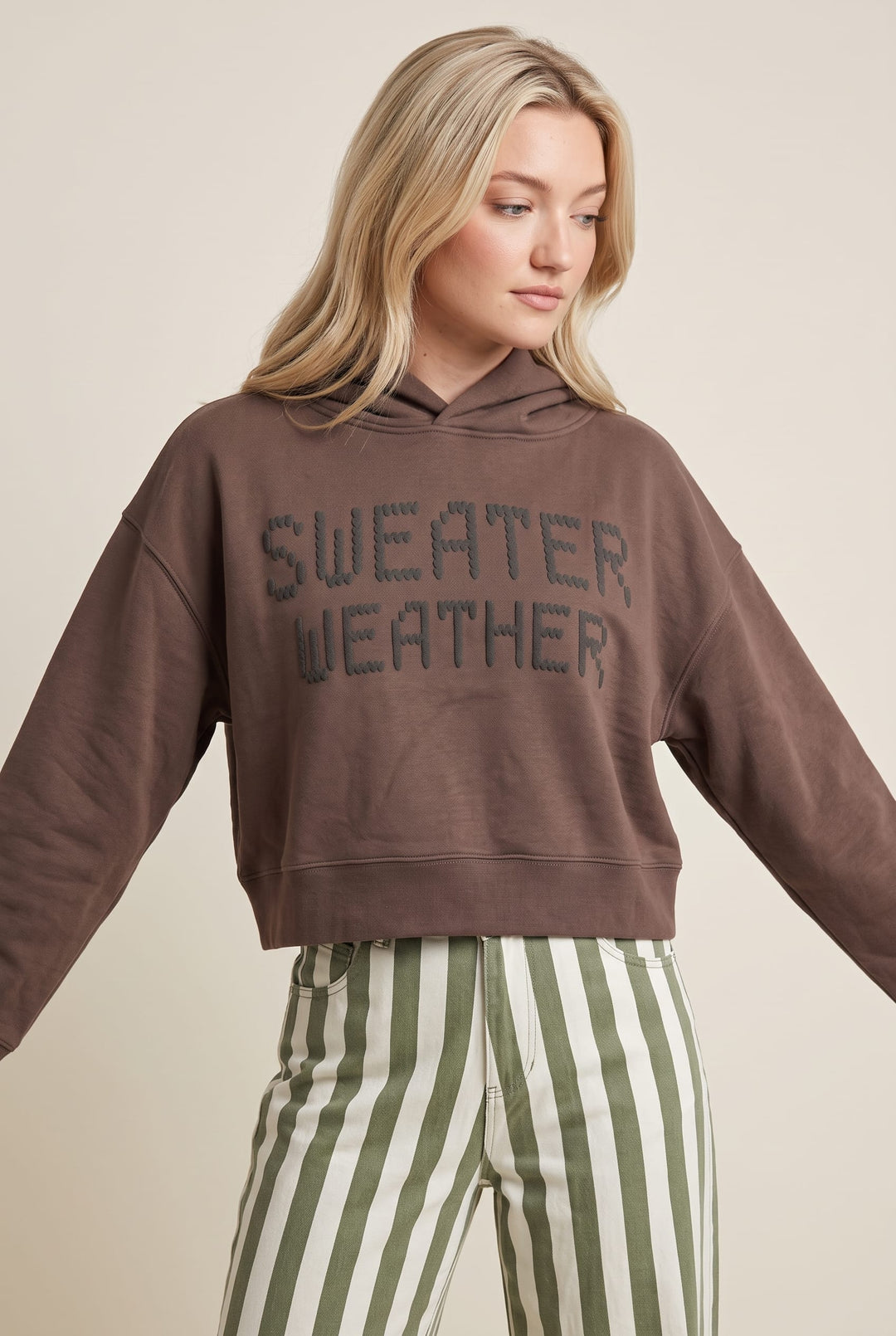 Sweater Weather Cropped Hoodie Sweatshirt