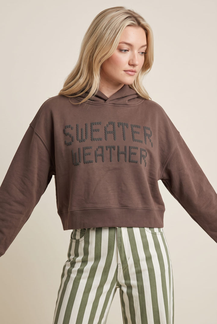 Sweater Weather Cropped Hoodie Sweatshirt
